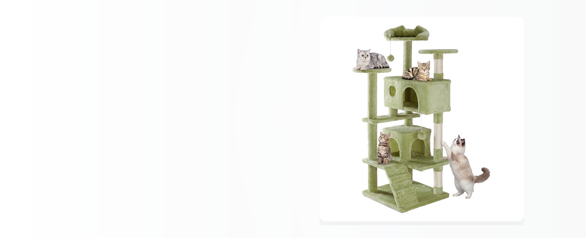 A green multi-level cat tree with sisal posts, a ladder and a hide, photographed on a pale studio background.